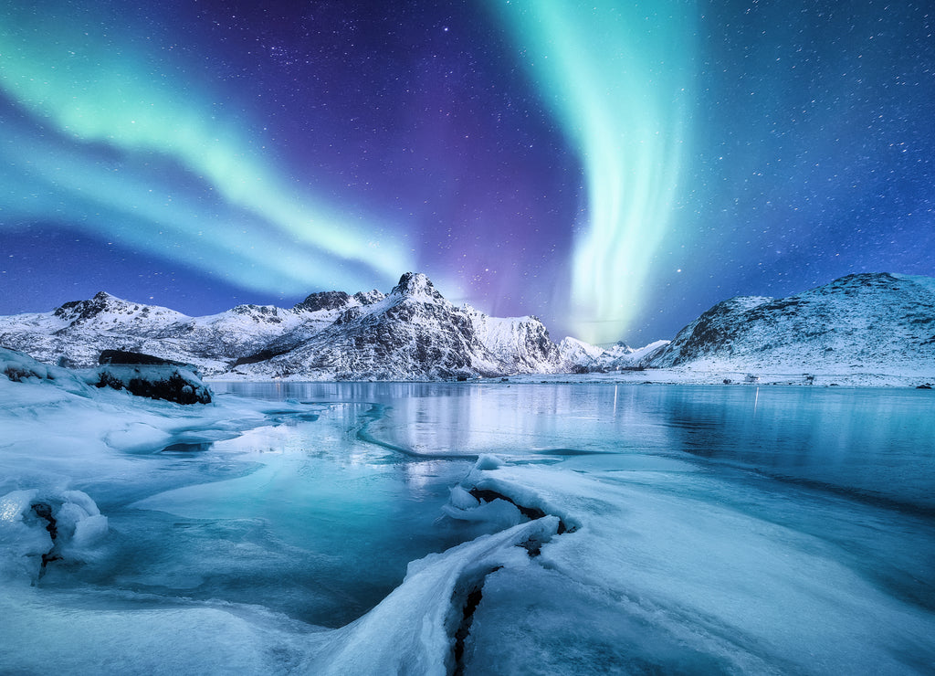Aurora borealis / Northern Lights on Lofoten, Norway