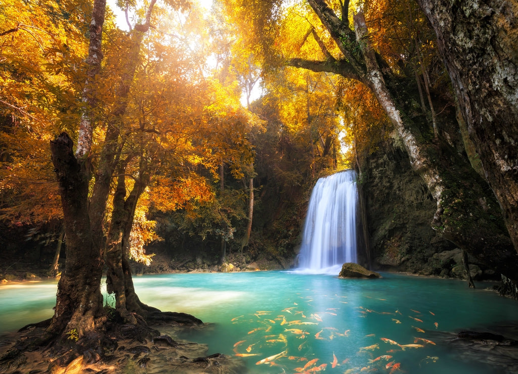 Waterfall