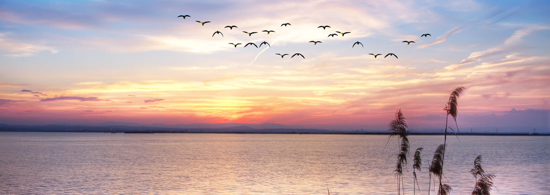 Noah Jigsaw Puzzle The lake of the colorful nubes, Panorama 1000 Pieces