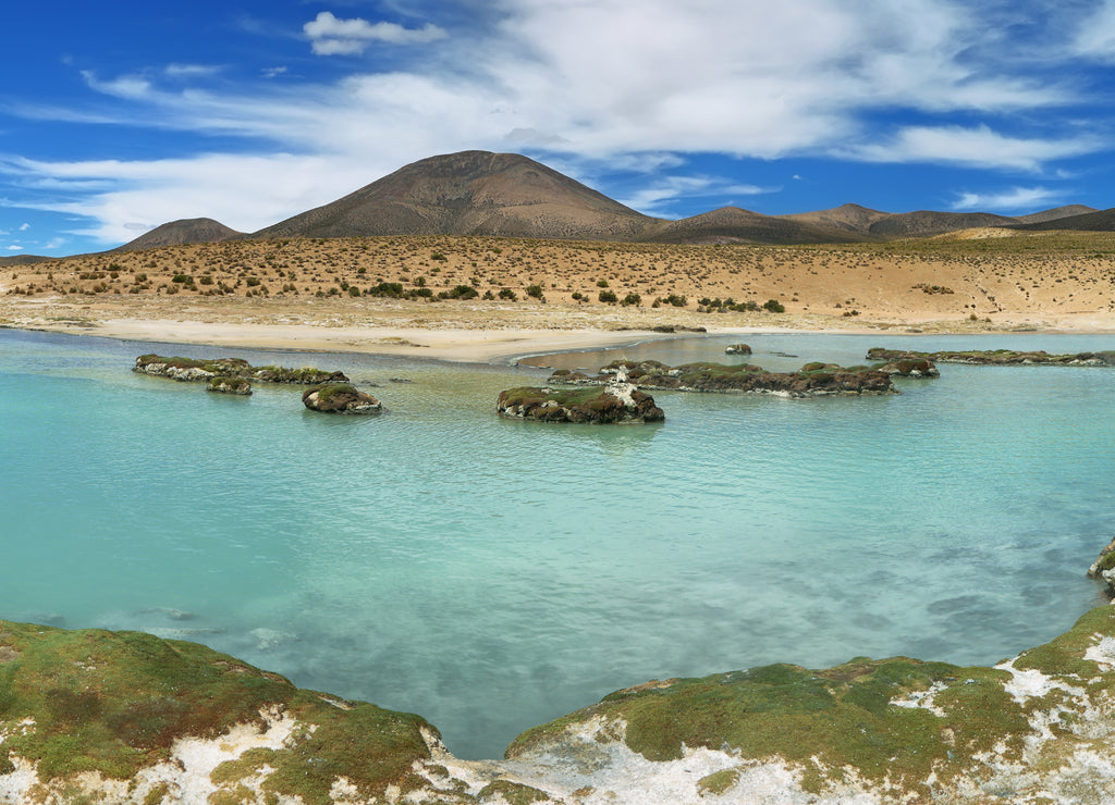 Hot springs "Polloquere" in "Salar de Surire" National Park