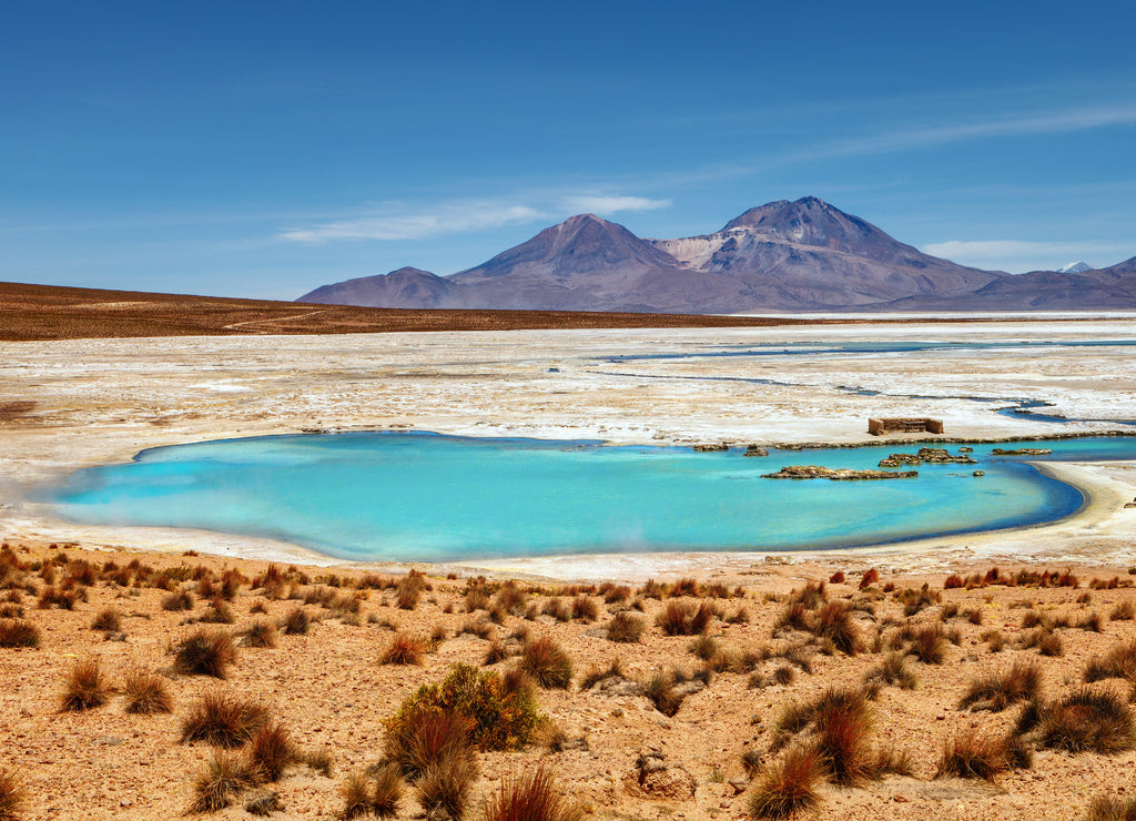 Beautiful landscape of Polloquere hot springs, in Salt Surire, Isluga Volcano National Park, more than 4000 meters away, Chile