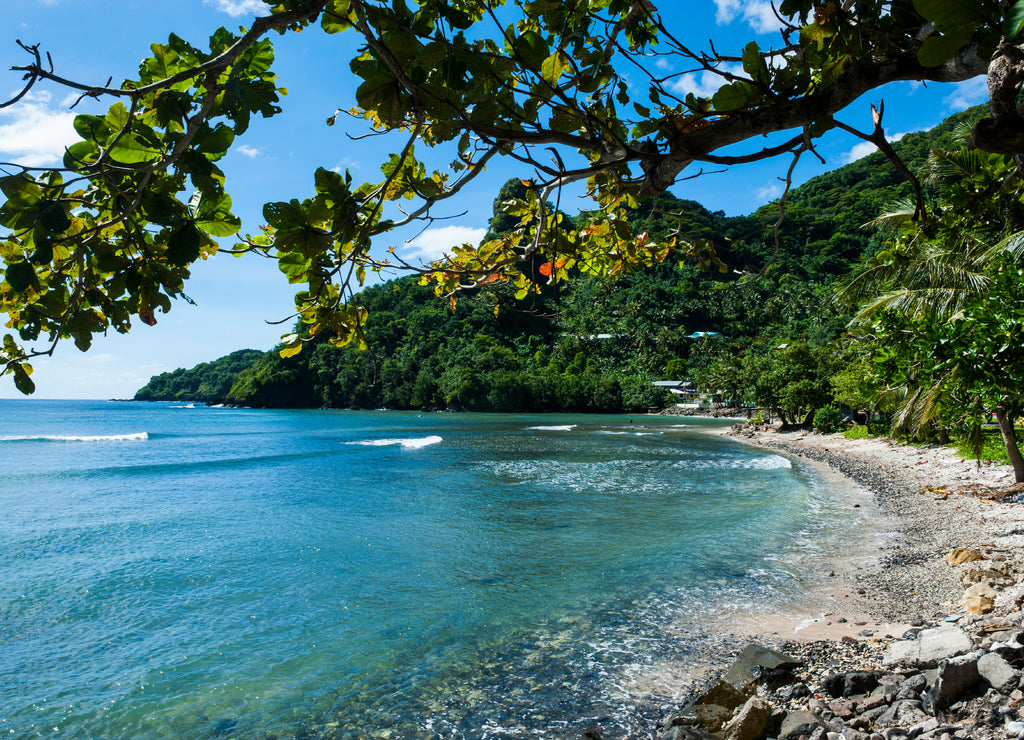 National Park of American Samoa, Tutuila island, American Samoa, South Pacific