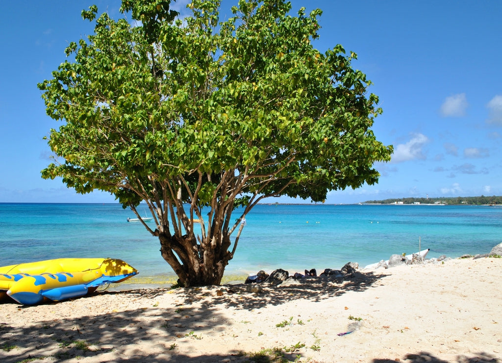 Beautiful scenic view of a beach with rocky shorelines in the island of Tinian, Northern Mariana Islands