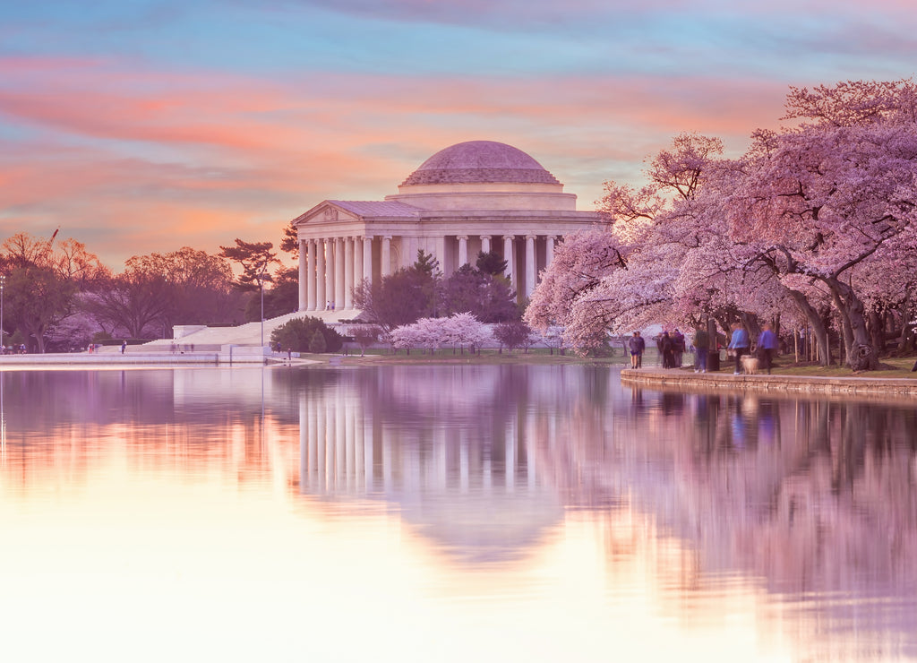 Cherry Blossom Festival in Washington, D.C. in USA