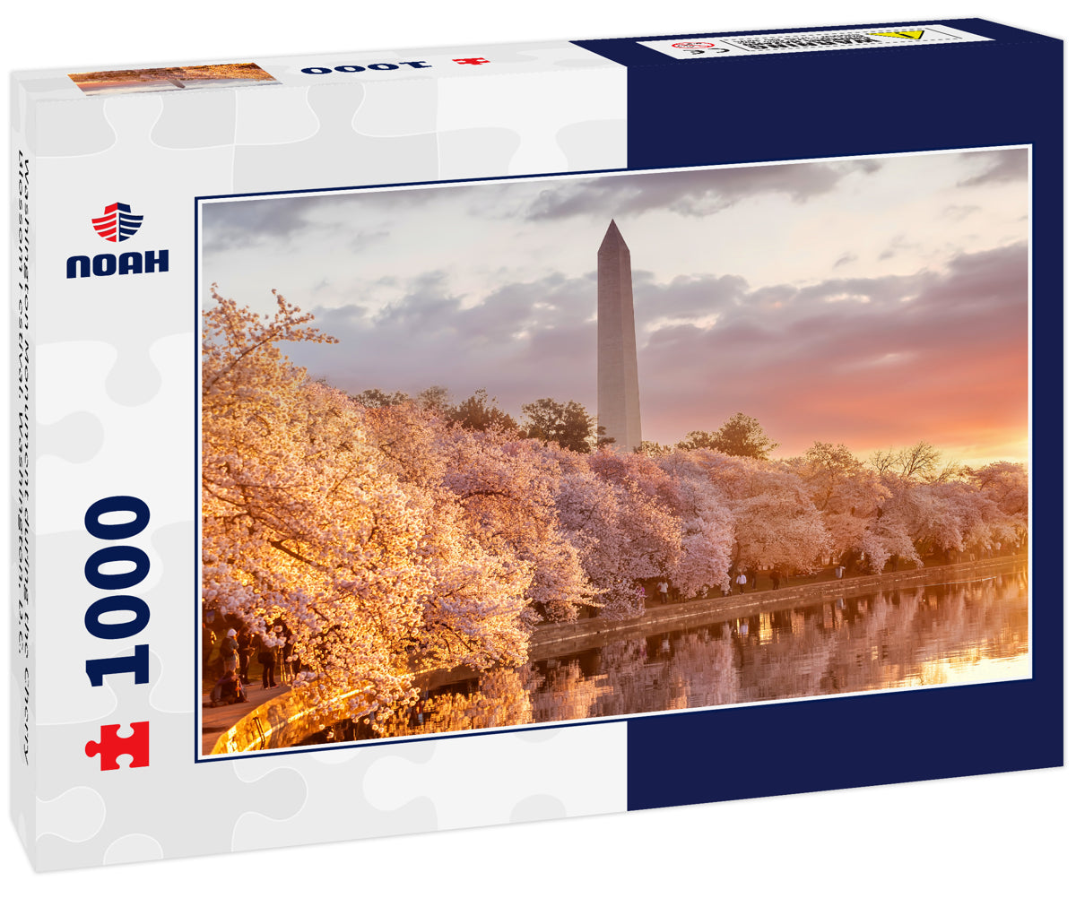 Washington Monument during the Cherry Blossom Festival. Washington, D.C.