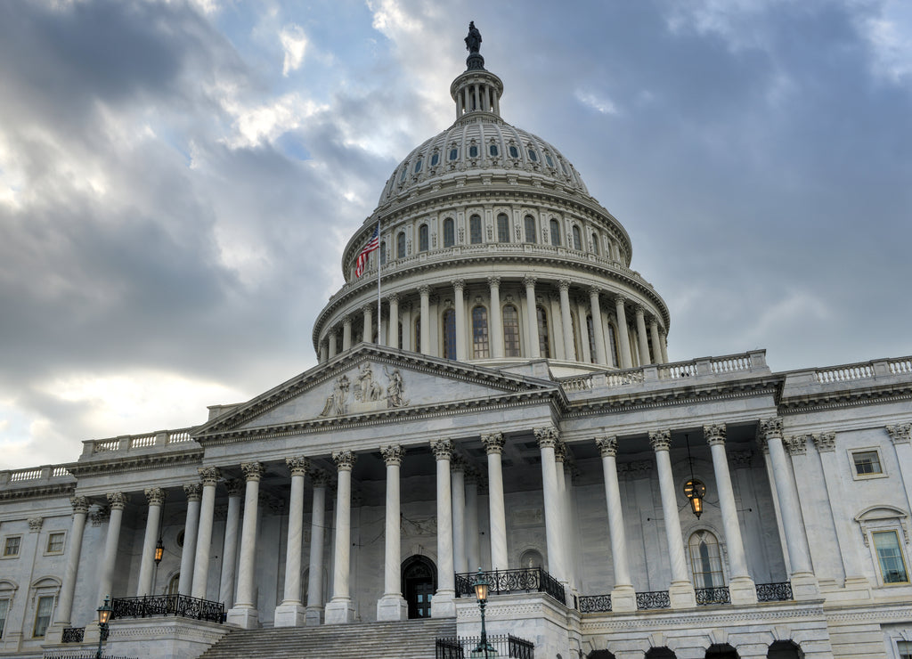 US Capitol in Washington DC
