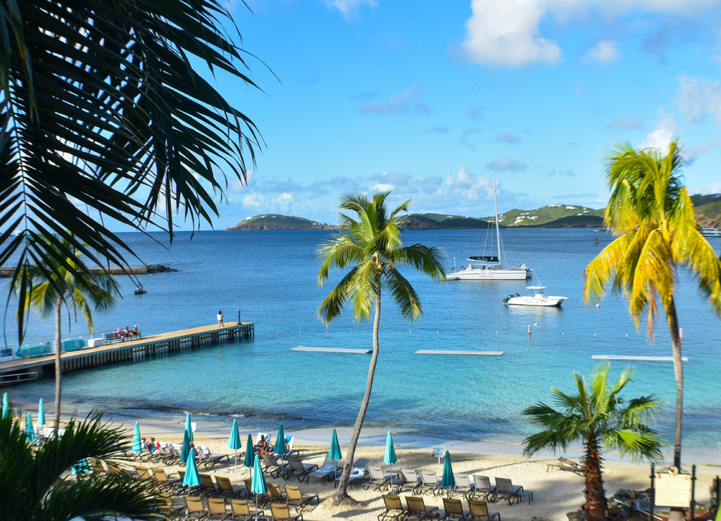 Frenchman's cove, St. Thomas, United States Virgin Islands, Caribbean Sea Coastline, Vacation Destination, Beach With Palm Trees, Tropical Travel, Scenic Waterfront