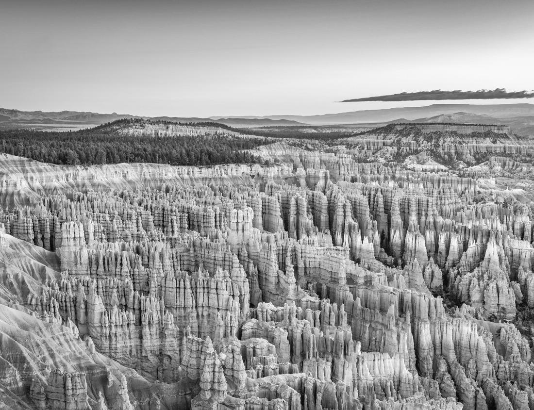 Noah Jigsaw Puzzle Aerial view of Charlotte North Carolina skyline in black white 1000 pieces