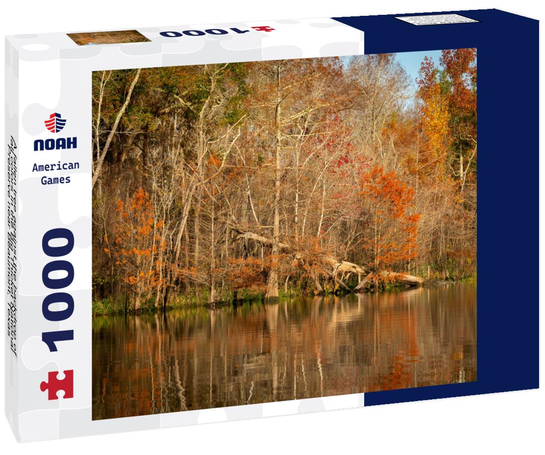 Noah Jigsaw Puzzle A fallen tree against the backdrop of fall colors in the Big Thicket National Preserve near Beaumont, Texas 1000 pieces