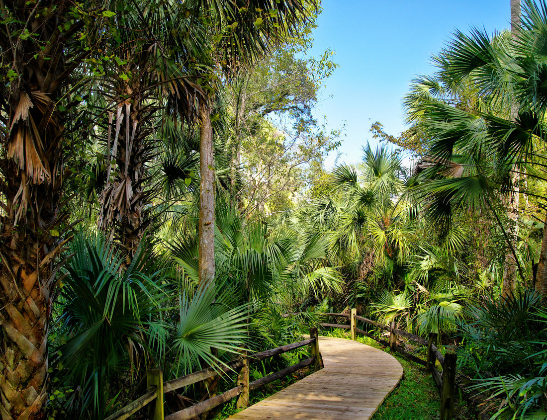 Noah Jigsaw Puzzle Wooden boardwalk in the recreation area in the Ocala National Forest located in Juniper Springs Florida, USA 1000 pieces