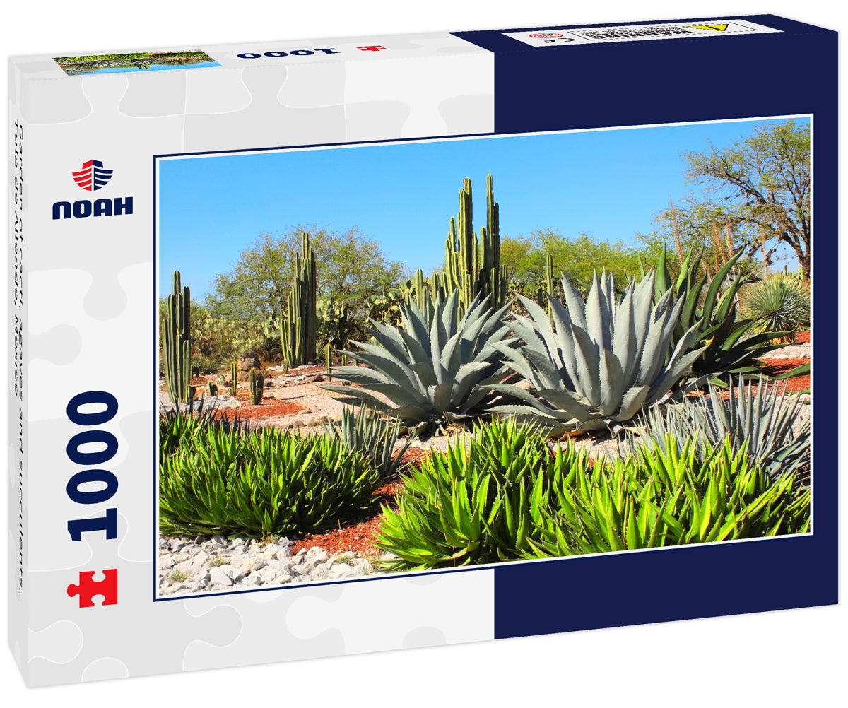 Garden of cacti, agaves and succulents, Tula de Allende, Mexico