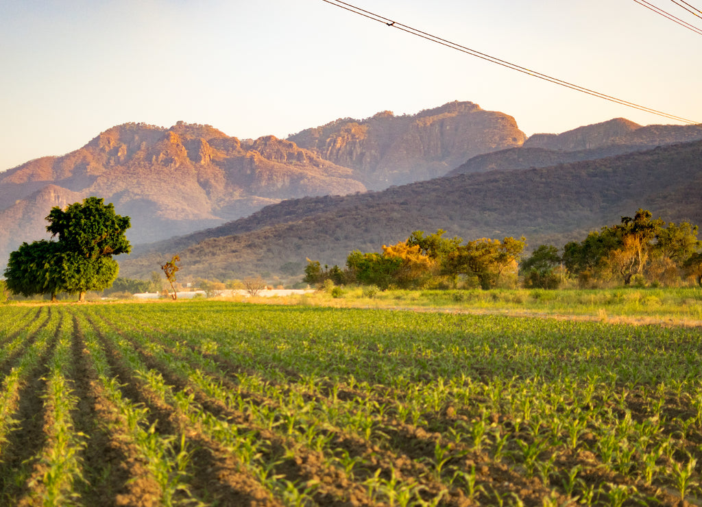 Mexican landscapes in Cuautla Morelos, Mexico