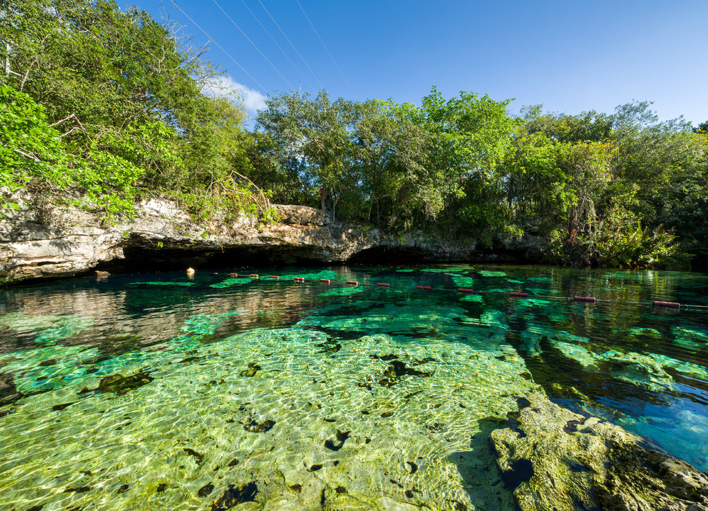 Cenote Azul, Riviera Maya, Playa Del Carmen, Mexico
