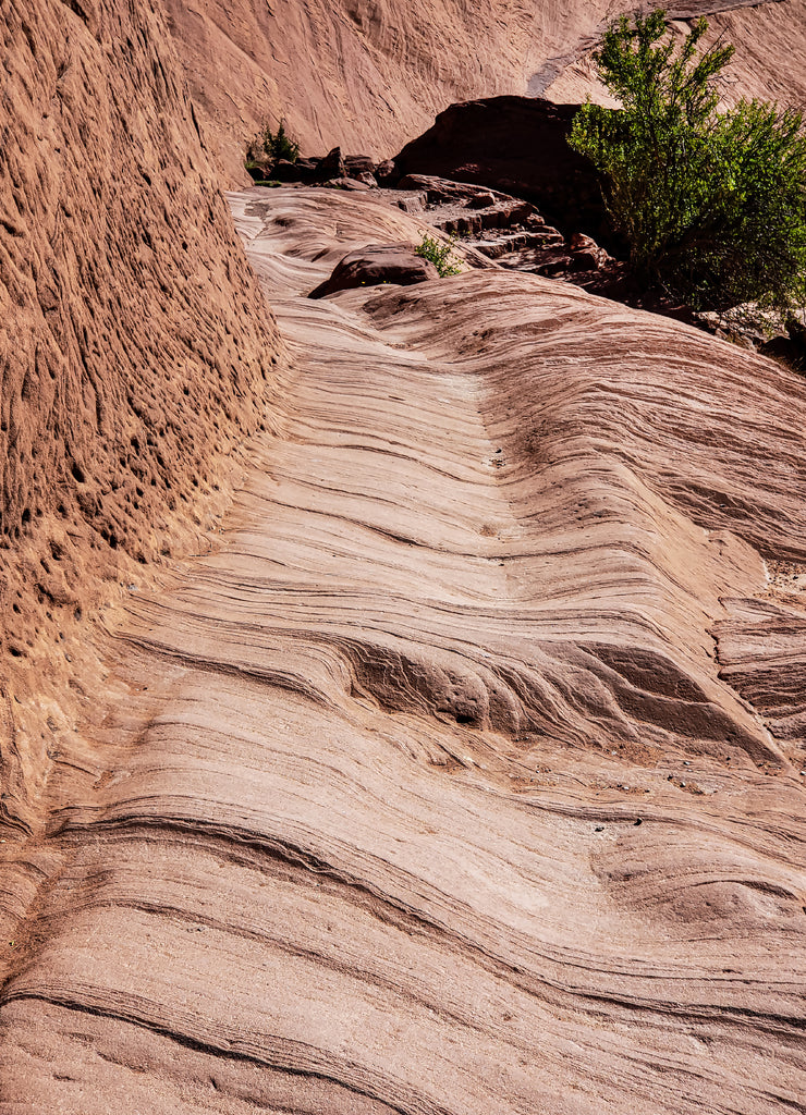 Canyon Hike in Utah 4 Corners Trip