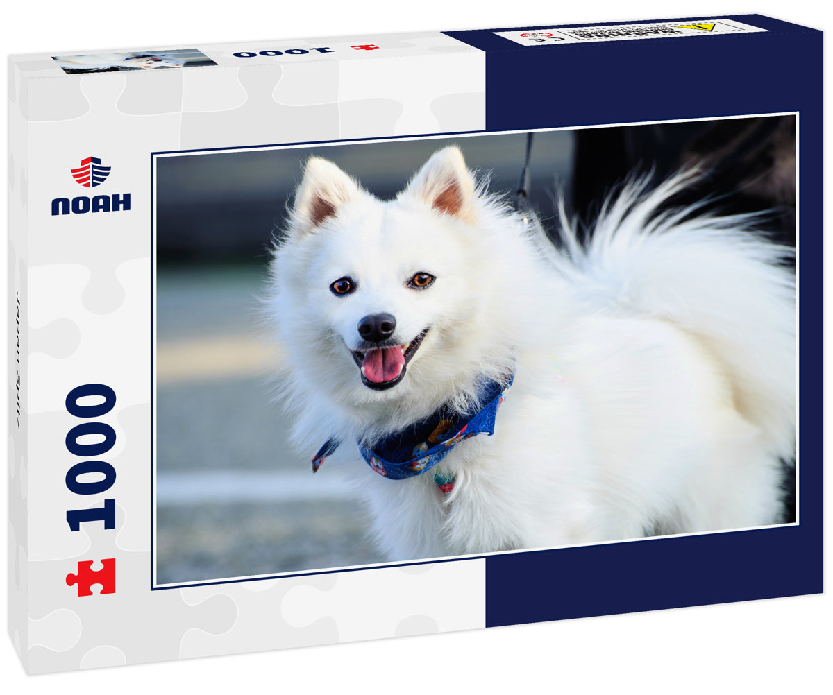 Japan Spitz