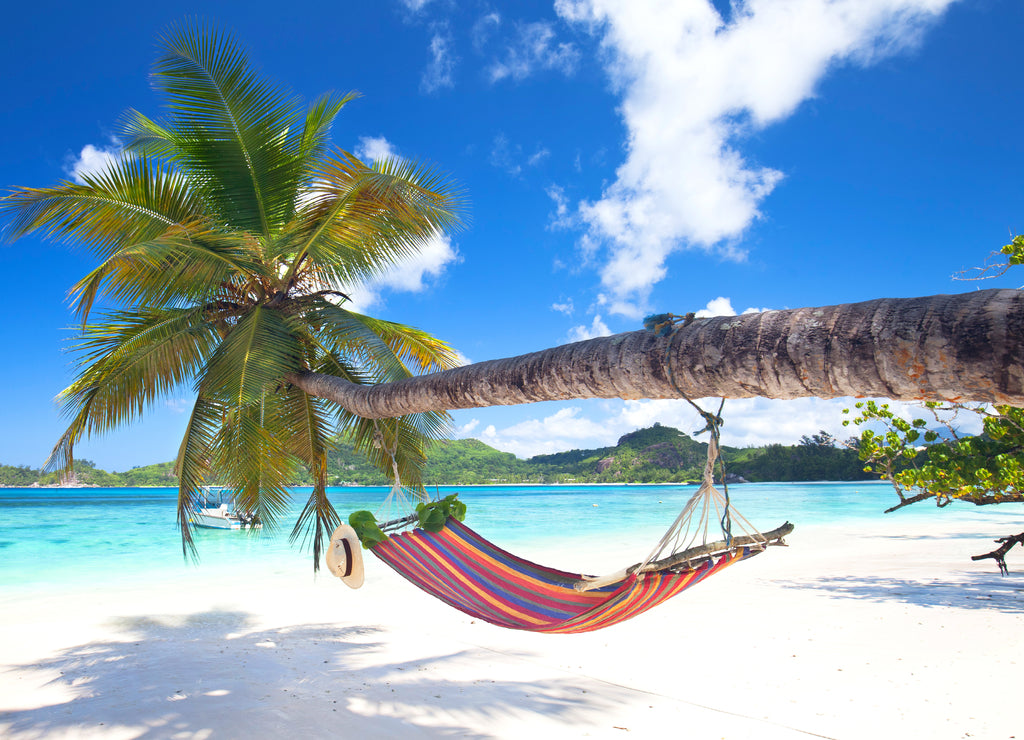 Tropical beach with palm trees and hammock