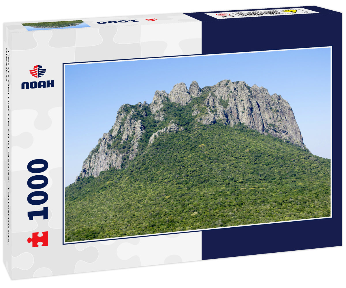 Cerro Bernal de Horcasitas, Tamaulipas, Mexico