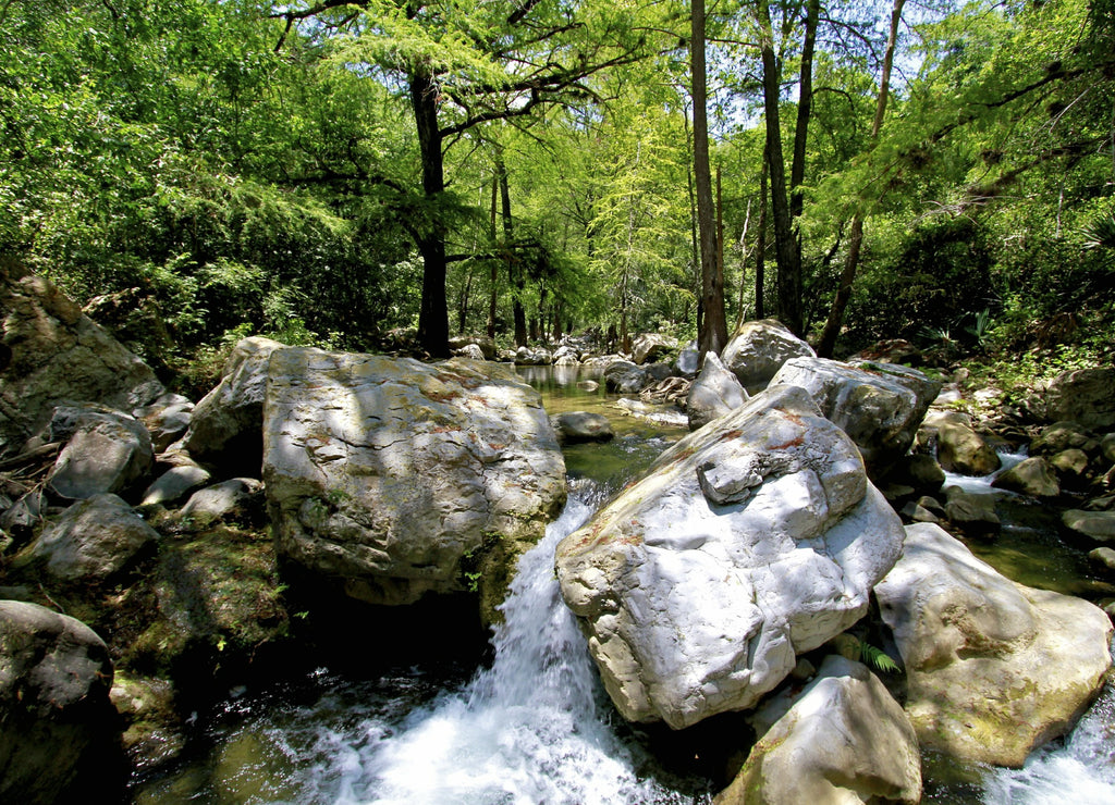 Los Troncones, Tamaulipas, Mexico