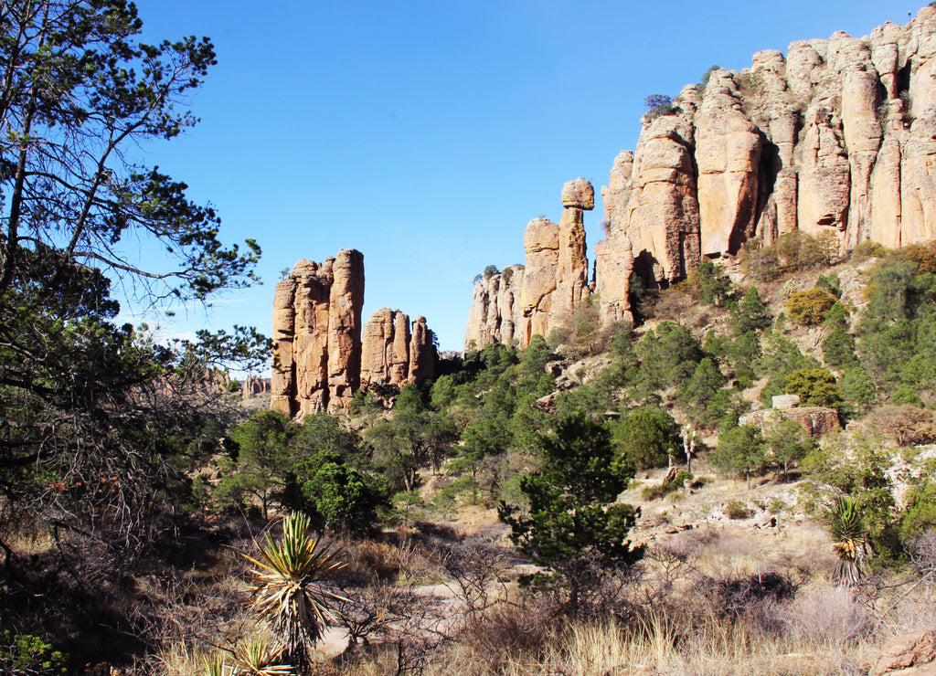 Sierra de Organos Sombrerete Zacatecas, Mexico