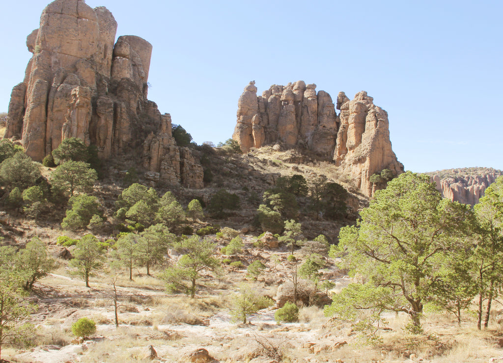 Sierra de Organos, Zacatecas, Mexico