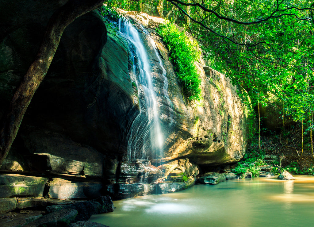 Serenity Falls in Buderim, Sunshine Coast, Australia. Located in the Buderim Forest waterfall walk