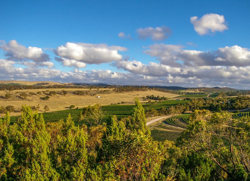 Clare Valley in rural South Australia is a mixture of farming and wine growing properties