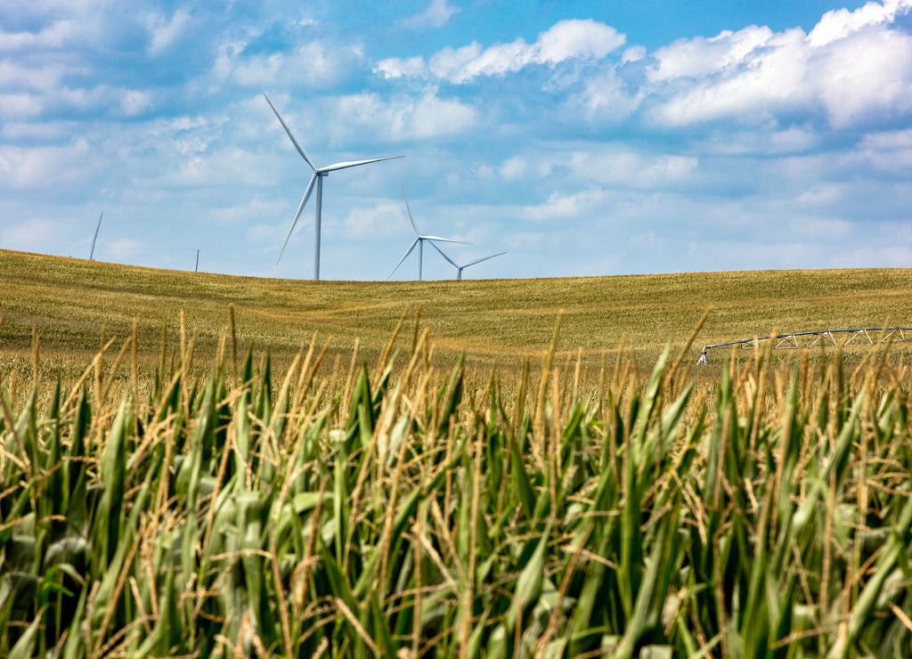 Nebraska corn fields with wind turbines