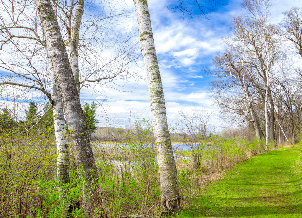 Spring Time at the Lake Minnesota