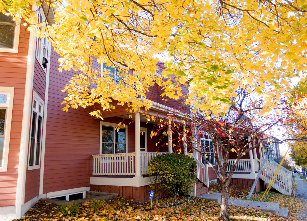 Row of townhouses framed by autumn tinted yellow leaves. St Paul Minnesota MN USA