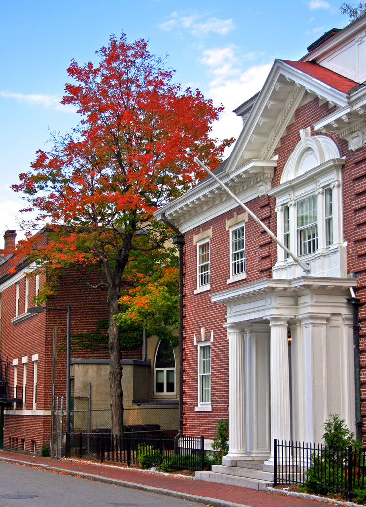Harvard Square, Cambridge