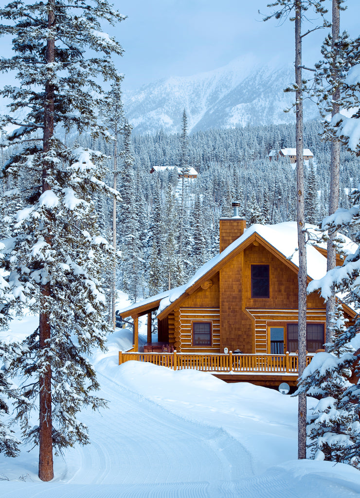 Ski In Ski Out, vacation cabin, winter Montana