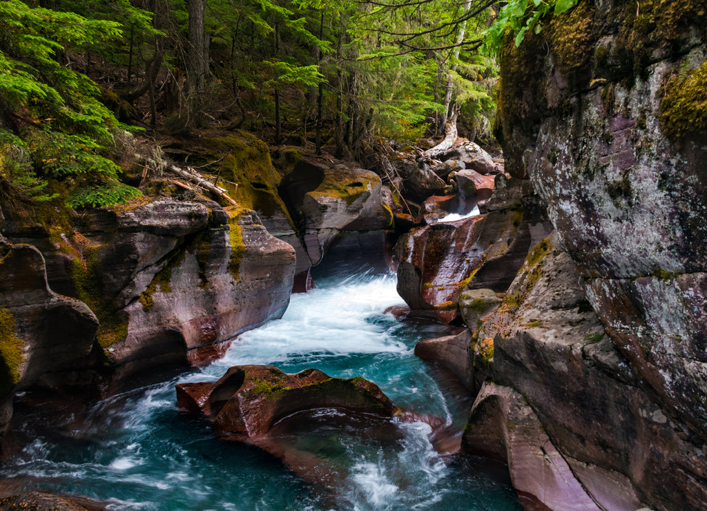 peaceful flow of water in Avalanche Creek passing Avalanche Gorge in Glacier National Park in Montana.