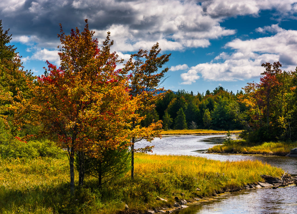 Northeast Creek, on Mount Desert Island in Bar Harbor, Maine