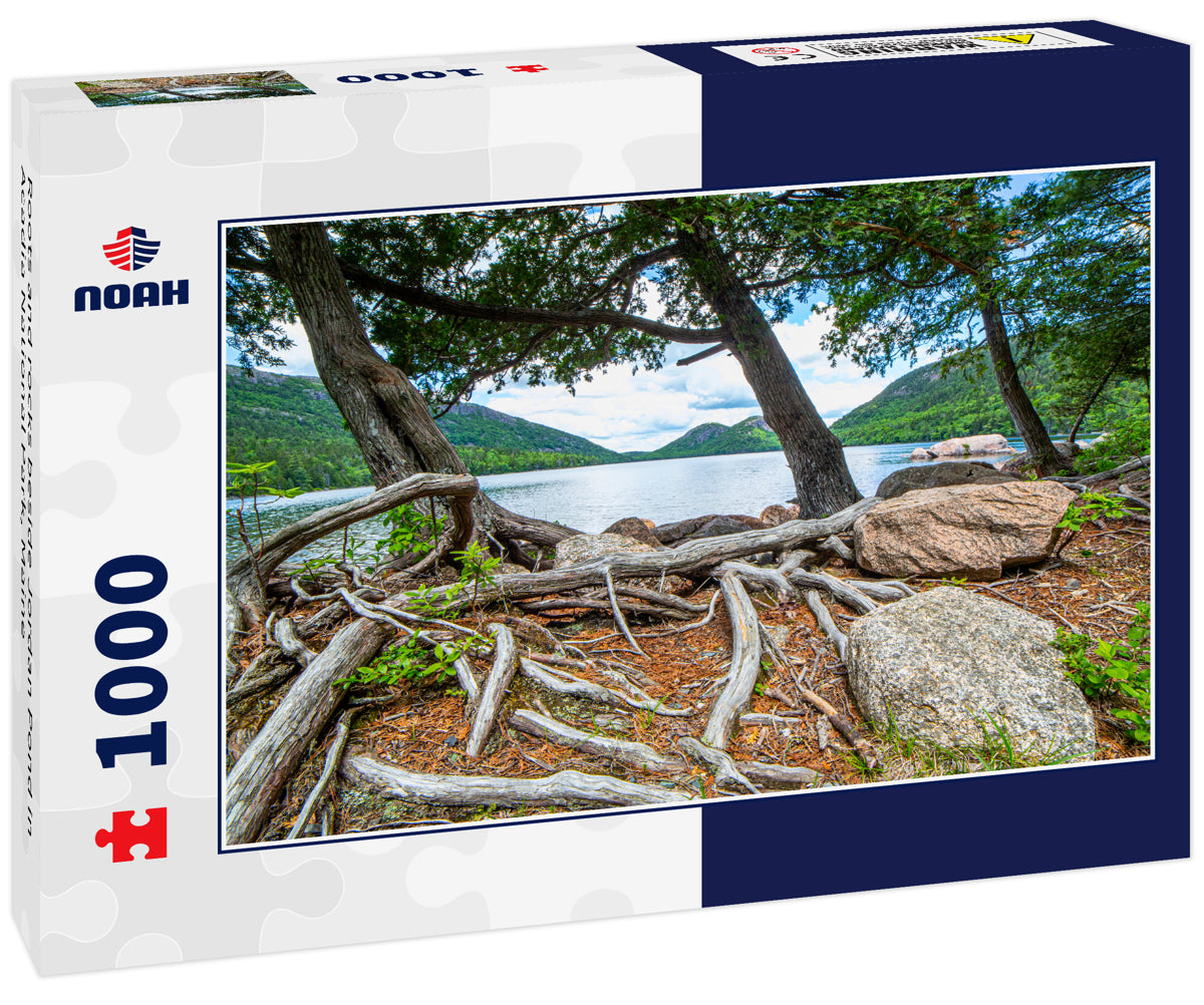 Roots and rocks beside Jordan Pond in Acadia National Park, Maine