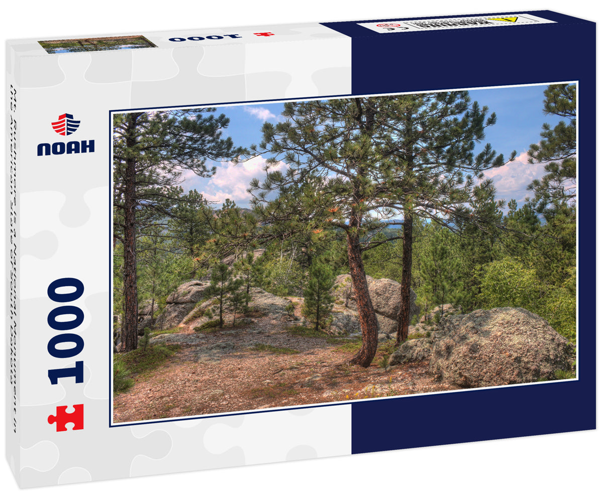 Mt. Rushmore is a National Monument in the American State of South Dakota