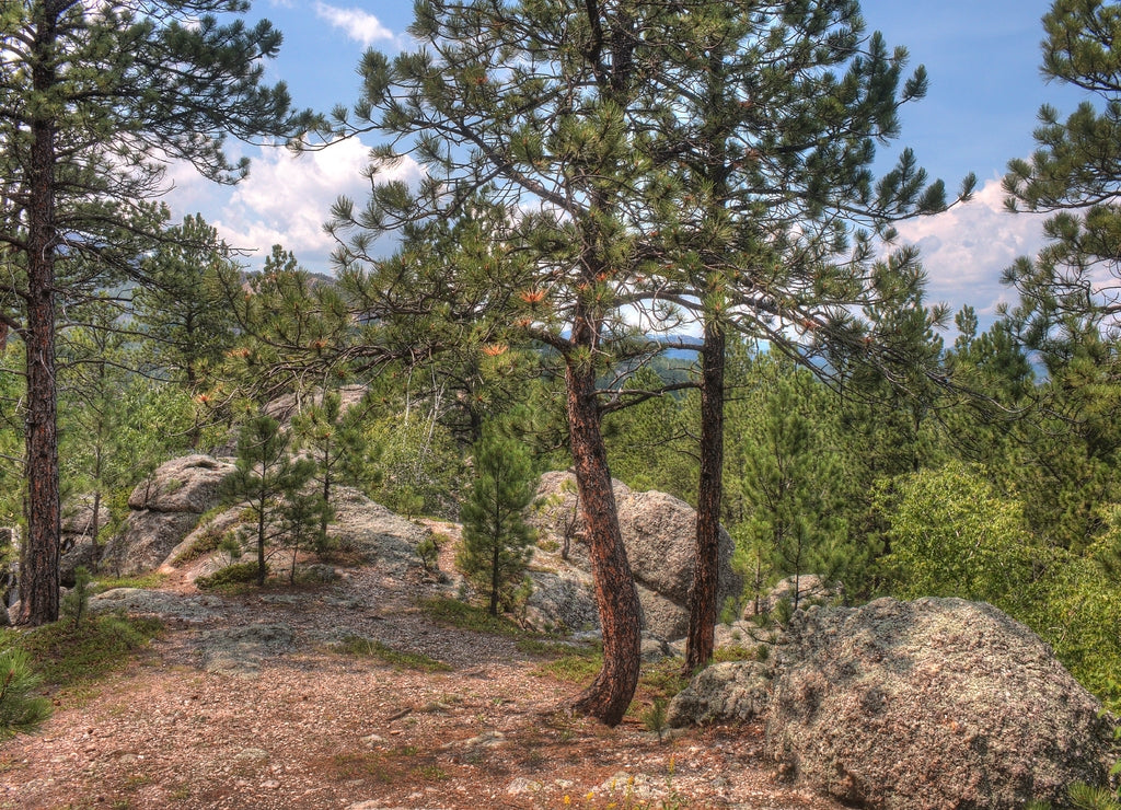 Mt. Rushmore is a National Monument in the American State of South Dakota
