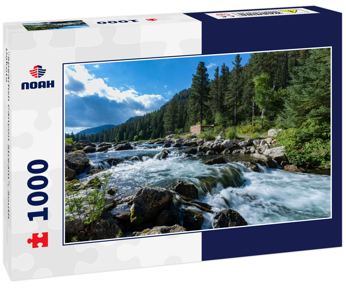 Spearfish Canyon Stream, South Dakota