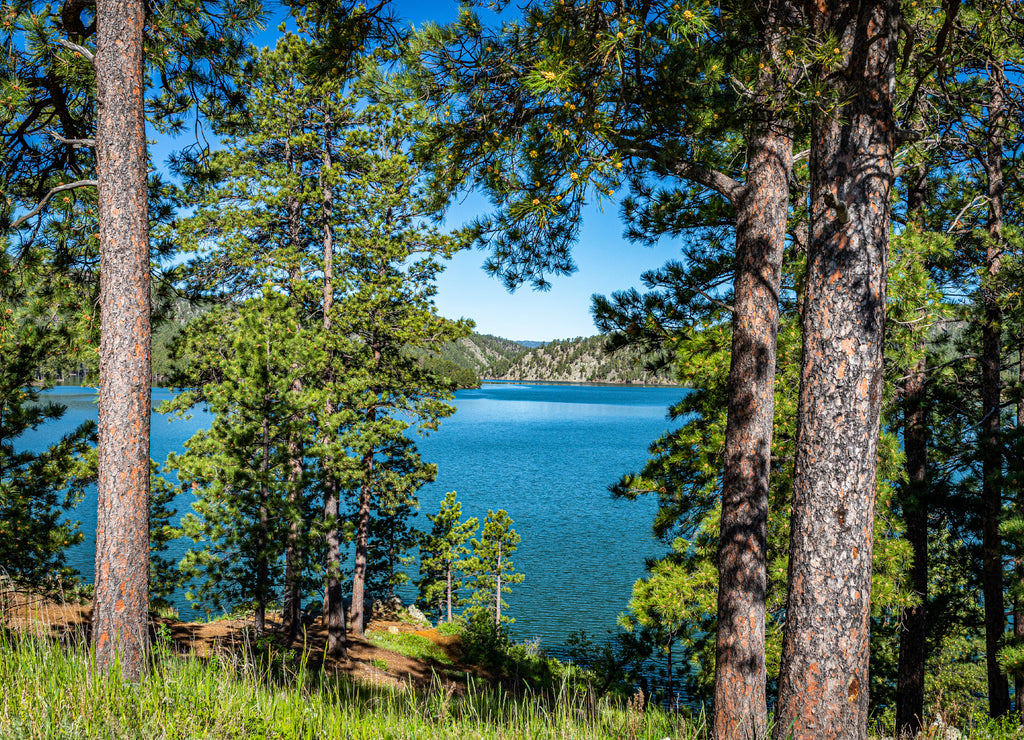 Pactola Lake South Dakota