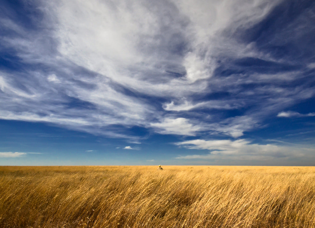 Sitting All Alone On The Plains Of Western Kansas