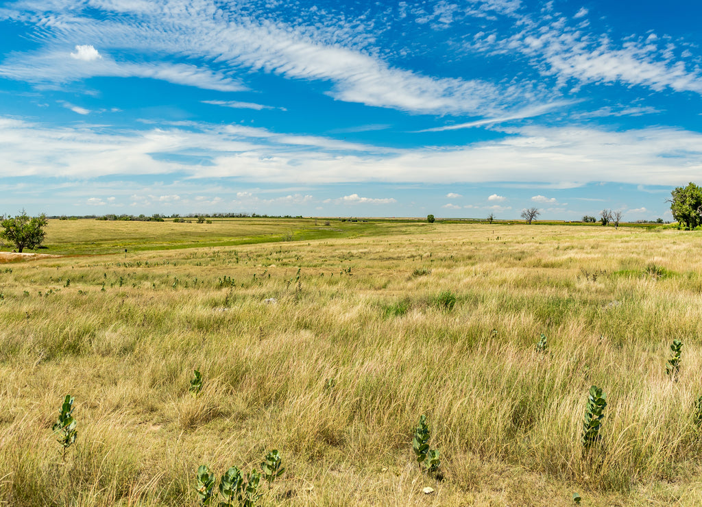 Santa Fe Trail Ruts, Kansas