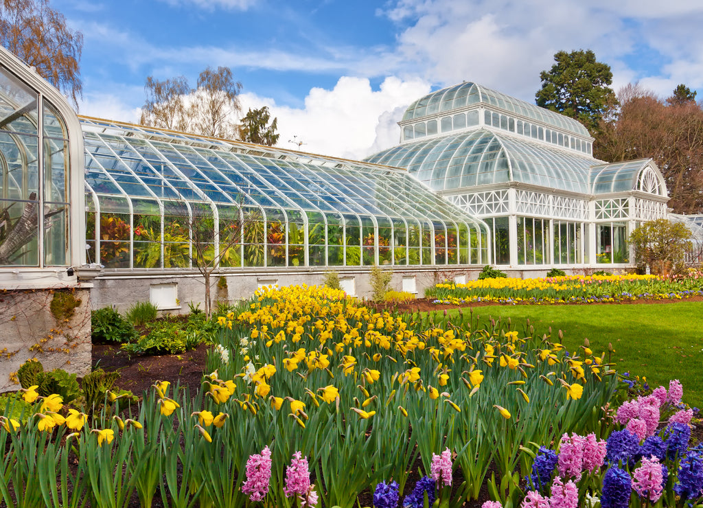 Seattle public conservatory of flowers at Volunteer Park, Washington