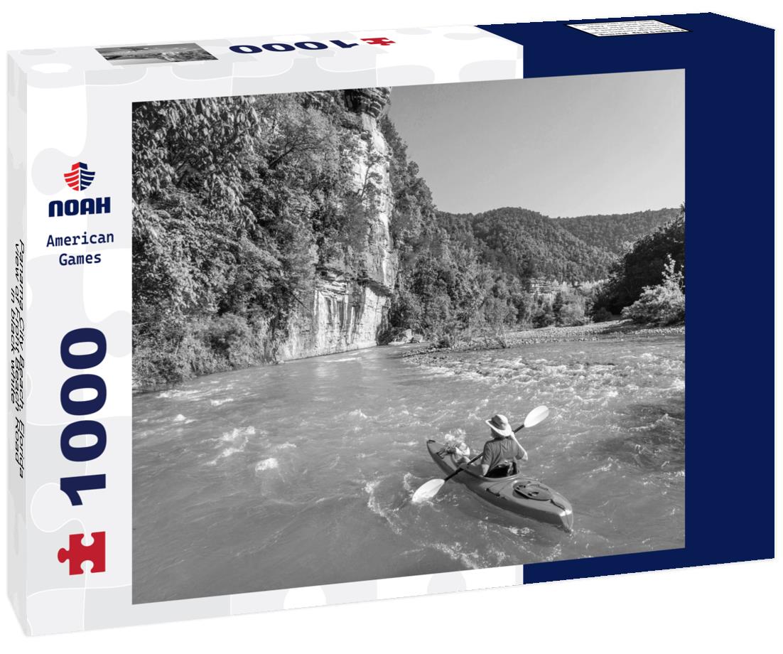 Noah Jigsaw Puzzle Panama City Beach, Florida, view of Front Beach Road in black white 1000 pieces