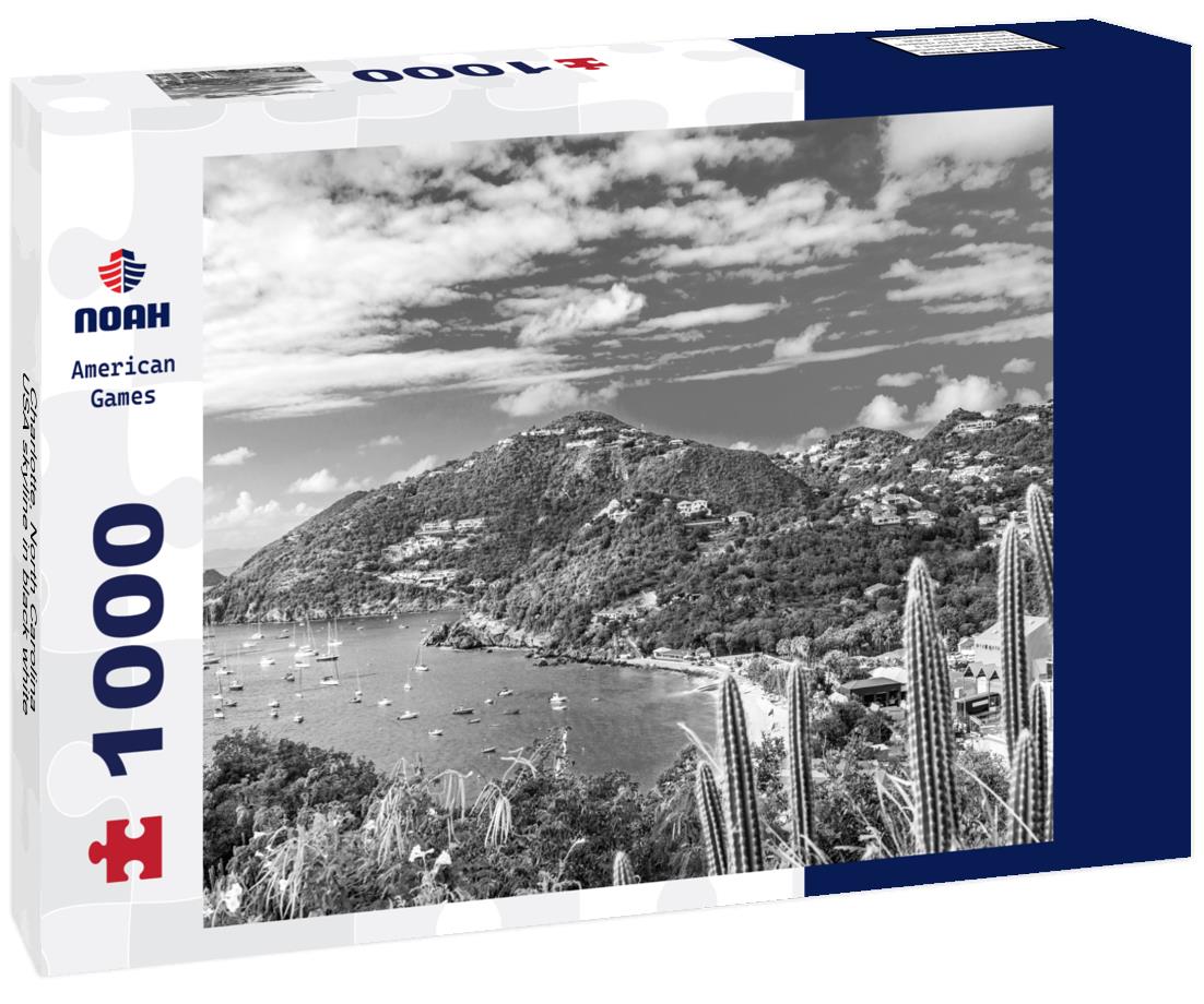 Noah Jigsaw Puzzle Charlotte, North Carolina, USA skyline in black white 1000 pieces