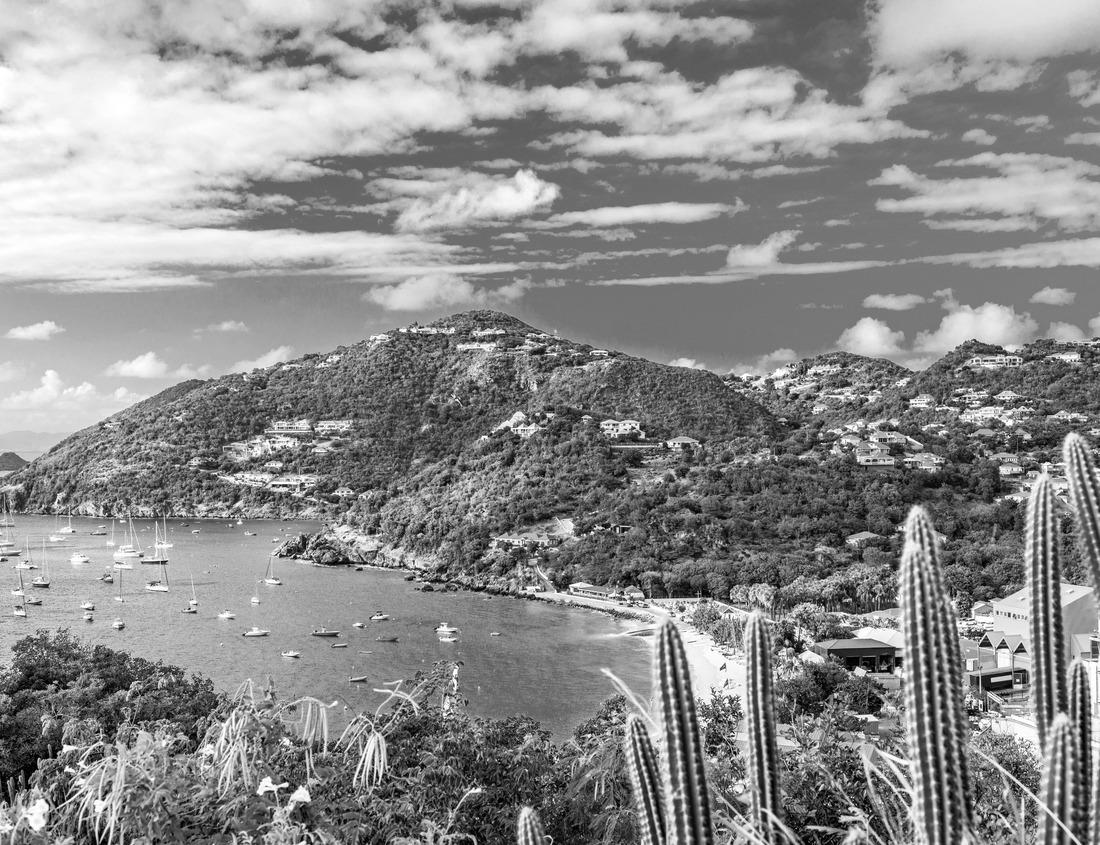 Noah Jigsaw Puzzle Charlotte, North Carolina, USA skyline in black white 1000 pieces