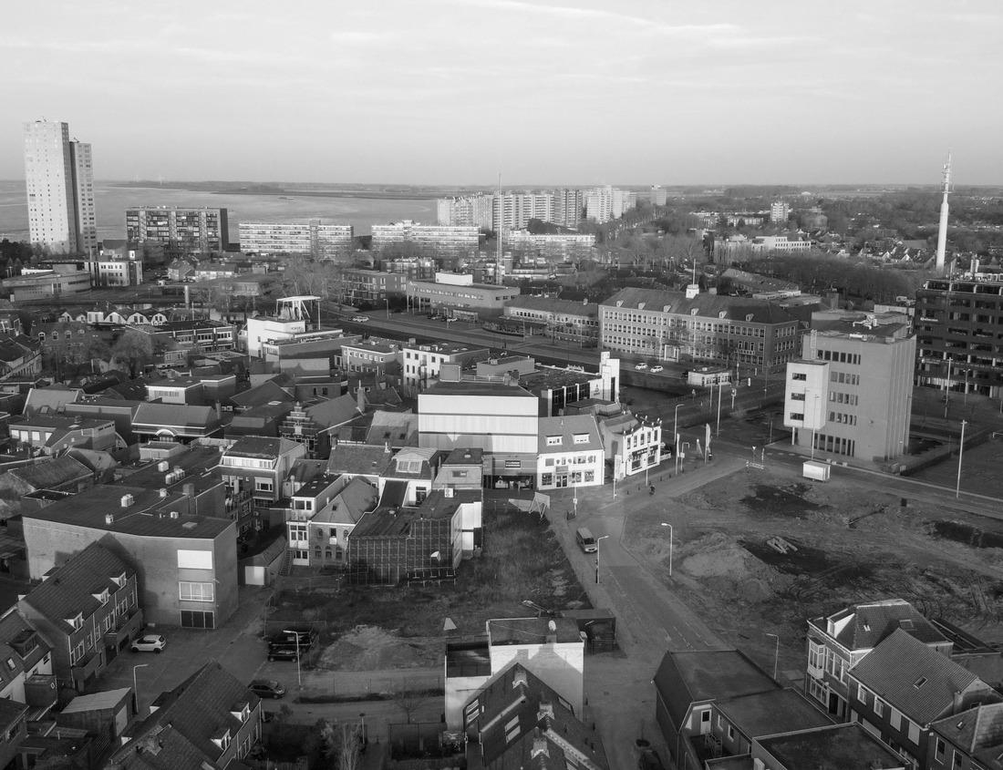 Noah Jigsaw Puzzle Cypress forest and swamp of Congaree National Park in South Carolina in black white 1000 pieces
