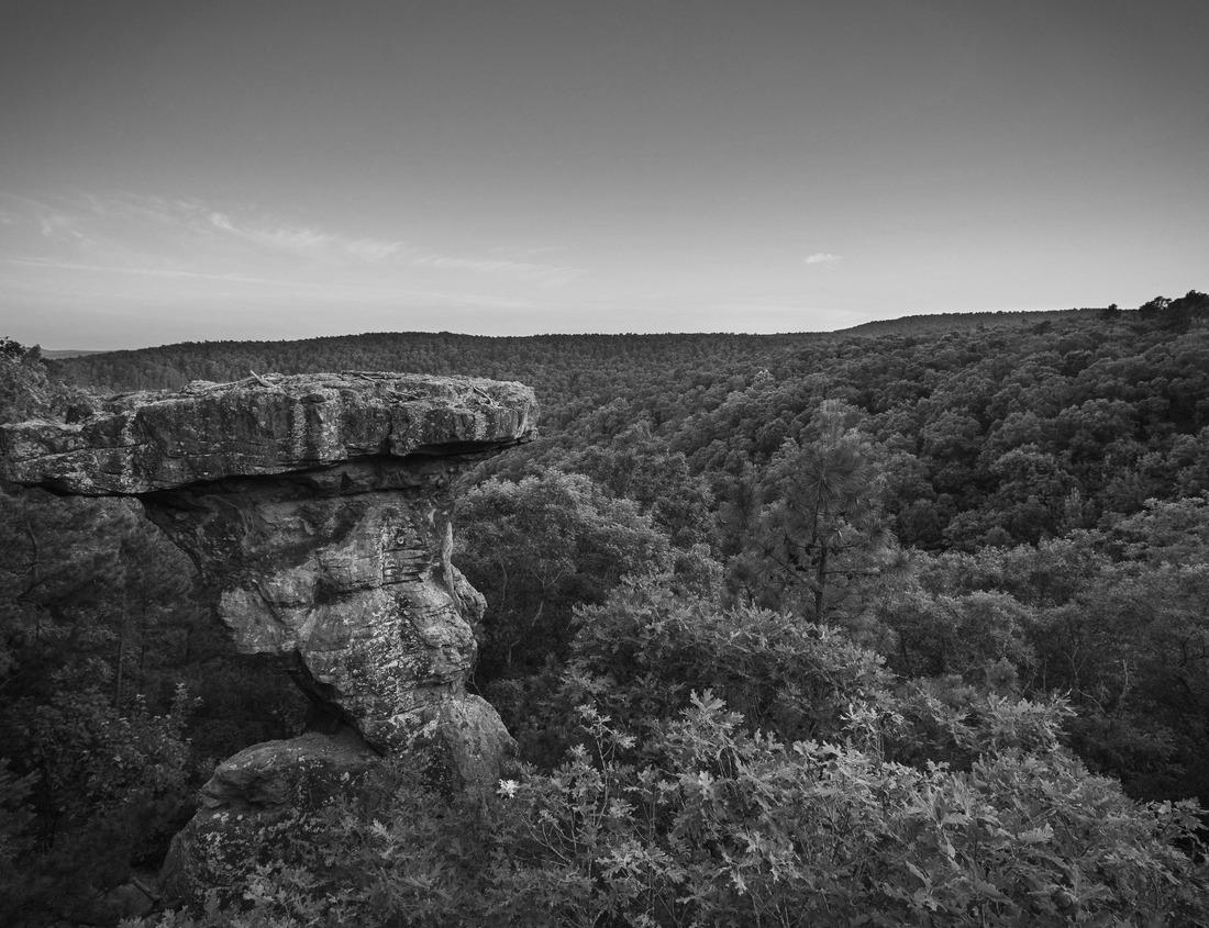 Noah Jigsaw Puzzle Aztec Ruins National Monument, New Mexico in black white 1000 pieces