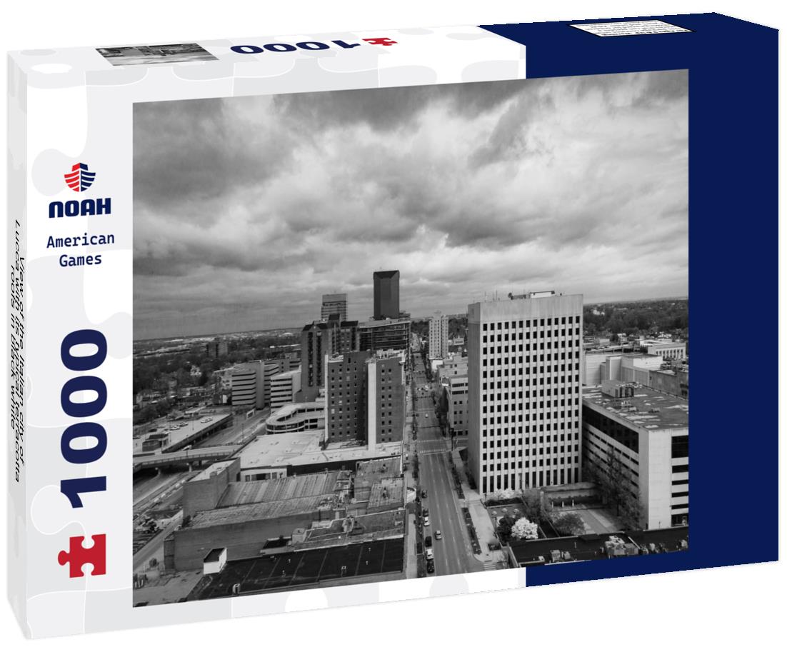Noah Jigsaw Puzzle View of the Italian city of Lucca with its typical terracotta roofs in black white 1000 pieces