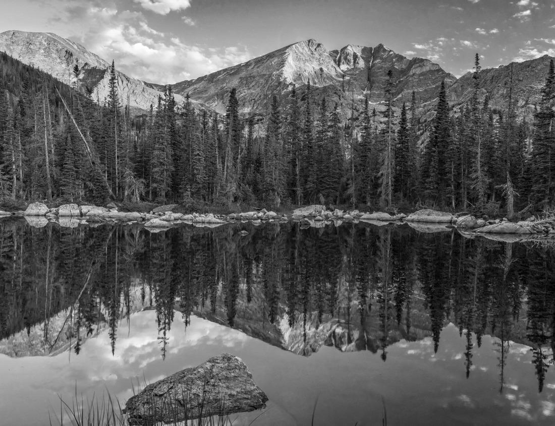 Noah Jigsaw Puzzle Cypress Swamp in Wapanocca National Wildlife Refuge Area in Turrell, Arkansas in black white 1000 pieces