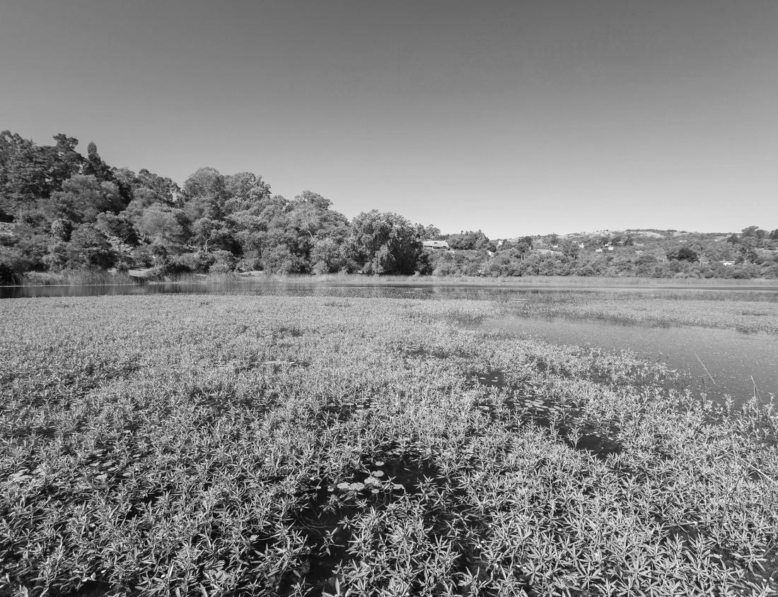 Noah Jigsaw Puzzle Glacier National Park in black white 1000 pieces