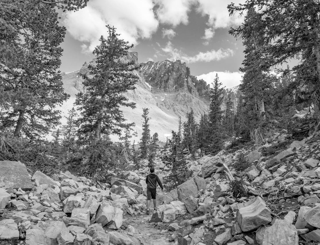 Noah Jigsaw Puzzle Charleston, South Carolina, USA in the French Quarter in black white 1000 pieces